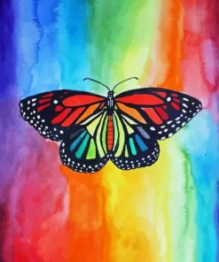 Rainbow Butterfly Paint By Numbers