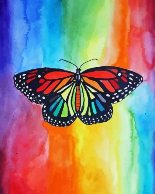 Rainbow Butterfly Paint By Numbers