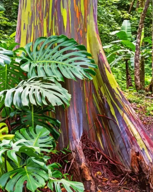 Rainbow Eucalyptus Paint By Numbers