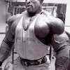 Ronnie Coleman Paint By Numbers