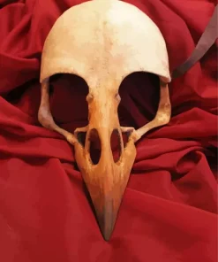 Raven Bird Skull Paint By Numbers