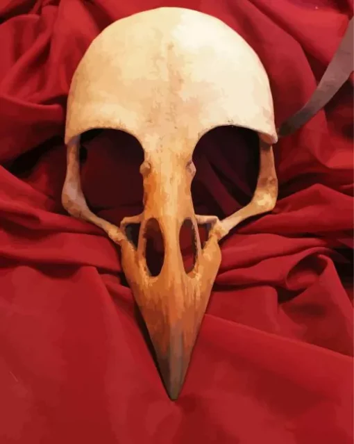 Raven Bird Skull Paint By Numbers