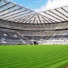 St James Park Paint By Numbers