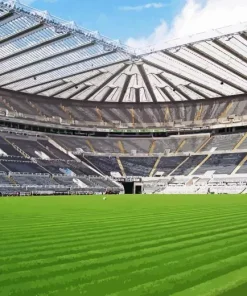 St James Park Paint By Numbers