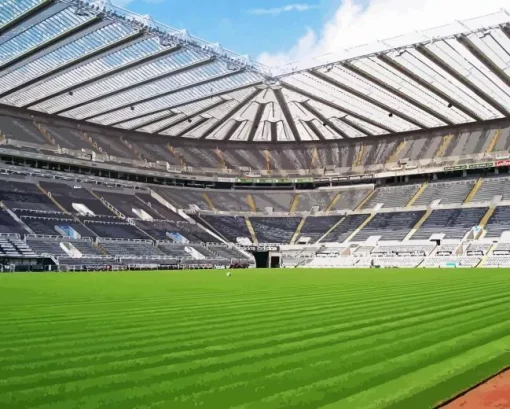 St James Park Paint By Numbers