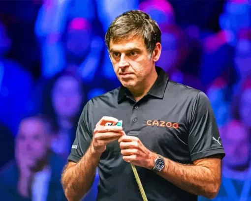 Ronnie Osullivan Paint By Numbers