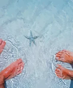 Sea Feet Paint By Numbers