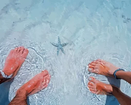 Sea Feet Paint By Numbers