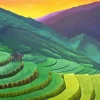 Sunset Rice Terraces Paint By Numbers