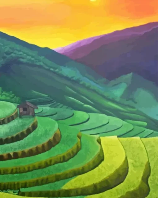 Sunset Rice Terraces Paint By Numbers