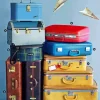 Vintage Suitcases Paint By Numbers