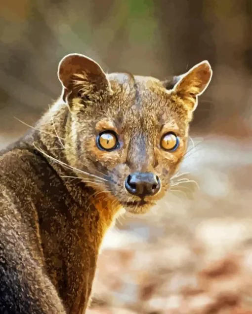 Fossa Animal Paint By Numbers