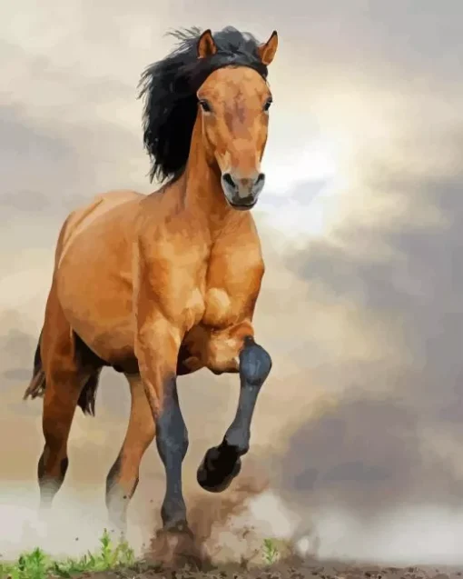 Kiger Mustang Paint By Numbers