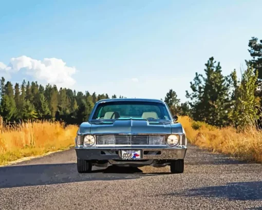 1972 Nova Paint By Numbers