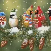 Birds Christmas Paint By Numbers