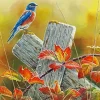 Blue Bird Paint By Numbers