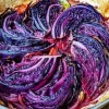 Cabbage Paint By Numbers