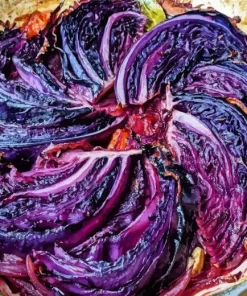 Cabbage Paint By Numbers