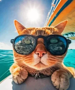 Cats At Beach Paint By Numbers