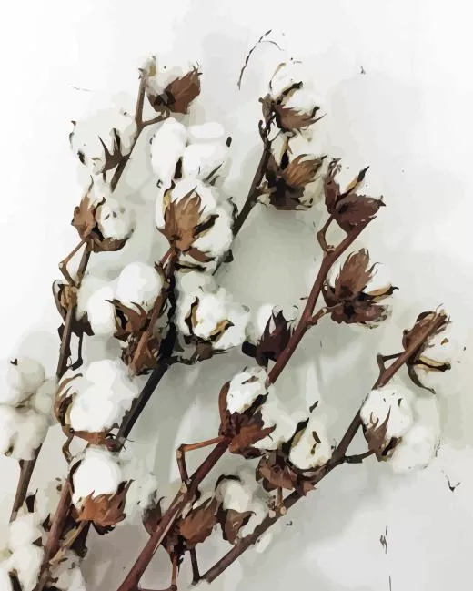 Cotton Branch Paint By Numbers