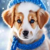 Dog With Hat Paint By Numbers