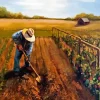 Farming Paint By Numbers