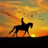 Horse Rider Lady Paint By Numbers