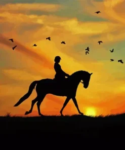 Horse Rider Lady Paint By Numbers