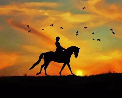 Horse Rider Lady Paint By Numbers