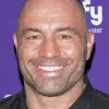 Joe Rogan Paint By Numbers