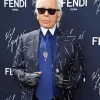 Karl Lagerfeld Paint By Numbers