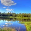 Lake Itasca Paint By Numbers