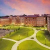 Louisiana State University Paint By Numbers
