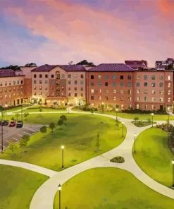 Louisiana State University Paint By Numbers