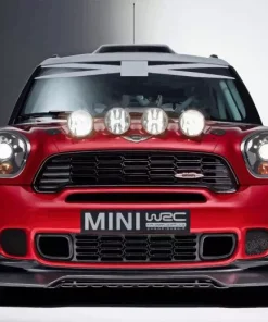 Mini Rally Car Paint By Numbers