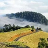 Mt Tamalpais Paint By Numbers