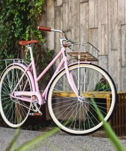Pink Bicycle Paint By Numbers