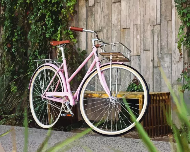 Pink Bicycle Paint By Numbers