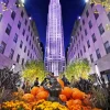 Rockefeller Centre Paint By Numbers