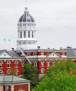 University Of Missouri Paint By Numbers