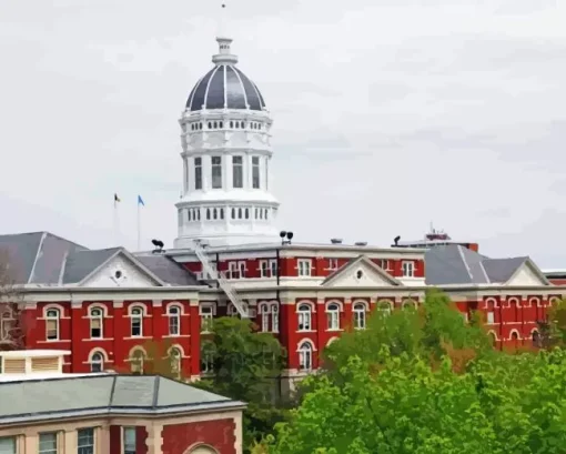 University Of Missouri Paint By Numbers