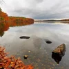 Walden Paint By Numbers