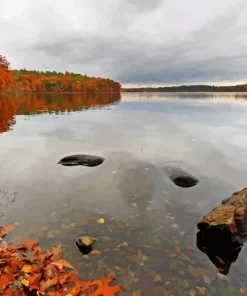Walden Paint By Numbers