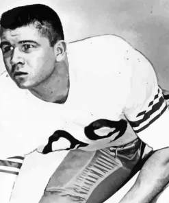 Mike Ditka Paint By Numbers