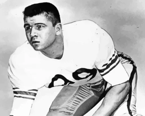 Mike Ditka Paint By Numbers