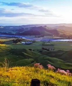 Hawkes Bay Paint By Numbers