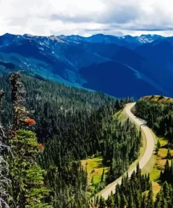 Olympic National Park Paint By Numbers