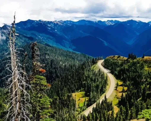 Olympic National Park Paint By Numbers