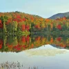 Adirondack Lake Paint By Numbers