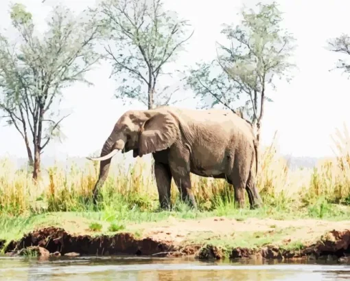 African Zambezi Paint By Numbers